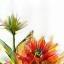 Amsterdam Flower Market logo